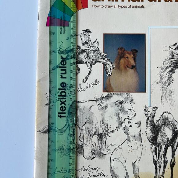 Animal Drawing Instruction Manual - Picture 10 of 11